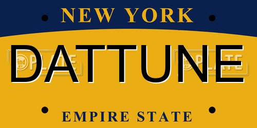 DATTUNE New York License Plate