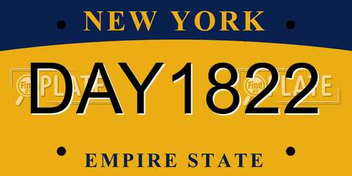 DAY1822 New York License Plate