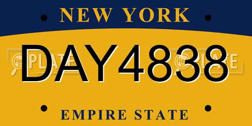 DAY4838 New York License Plate