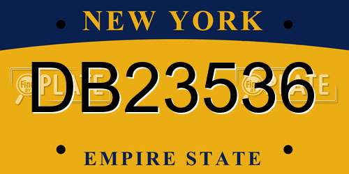 DB23536 New York License Plate