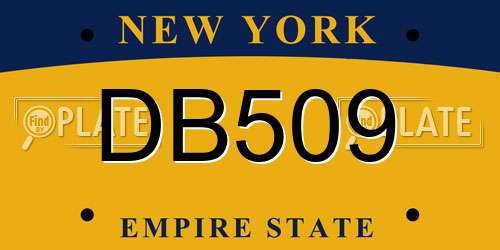 DB509 New York License Plate