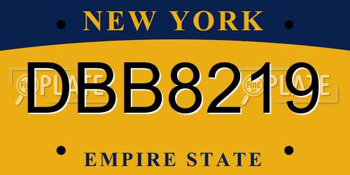 DBB8219 New York License Plate