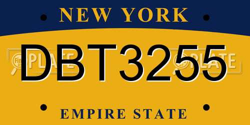 DBT3255 New York License Plate