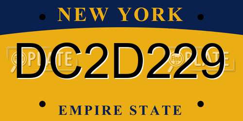 DC2D229 New York License Plate
