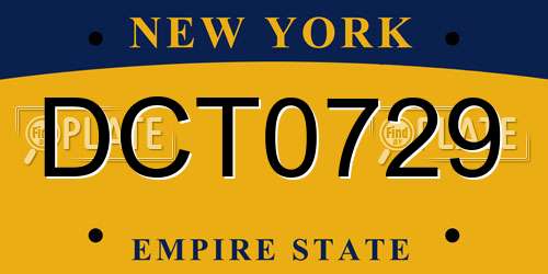 DCT0729 New York License Plate