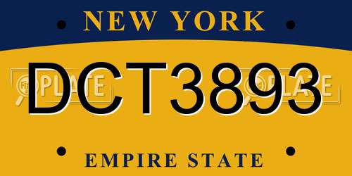 DCT3893 New York License Plate