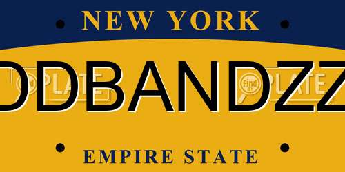 DDBANDZZ New York License Plate