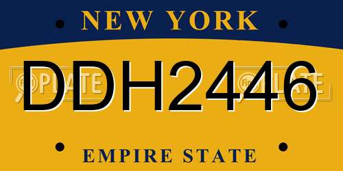 DDH2446 New York License Plate