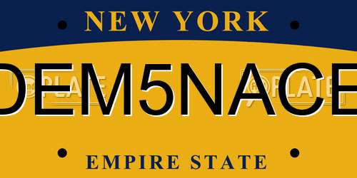 DEM5NACE New York License Plate