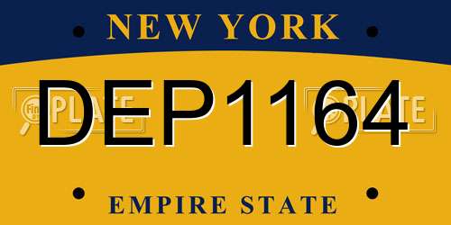 DEP1164 New York License Plate