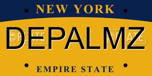 DEPALMZ New York License Plate