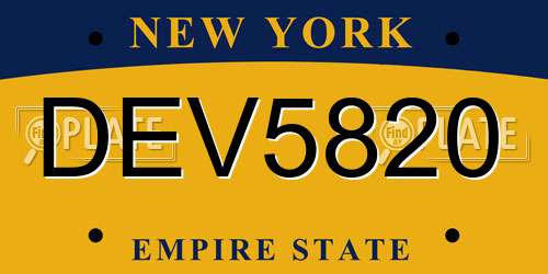 DEV5820 New York License Plate