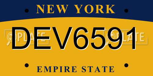 DEV6591 New York License Plate