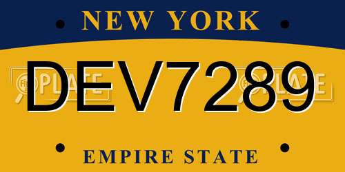 DEV7289 New York License Plate