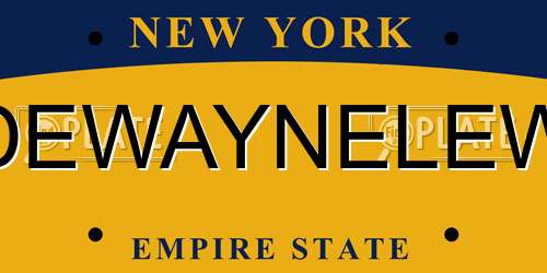 DEWAYNELEW New York License Plate