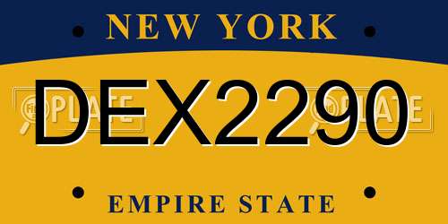 DEX2290 New York License Plate