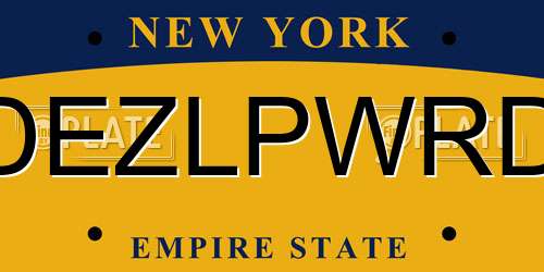 DEZLPWRD New York License Plate