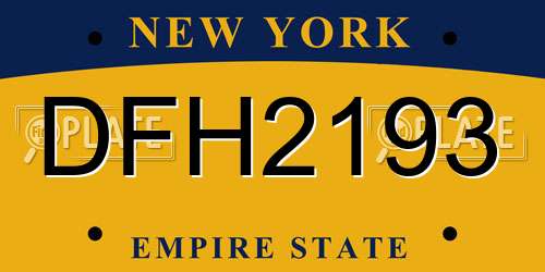 DFH2193 New York License Plate