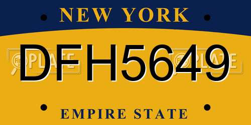 DFH5649 New York License Plate