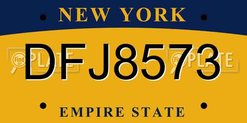 DFJ8573 New York License Plate
