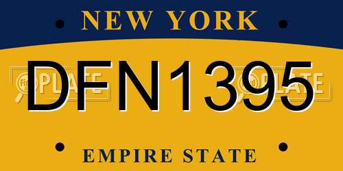 DFN1395 New York License Plate