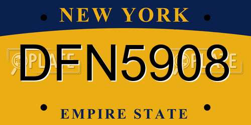 DFN5908 New York License Plate