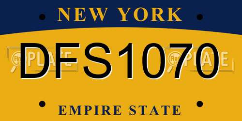 DFS1070 New York License Plate