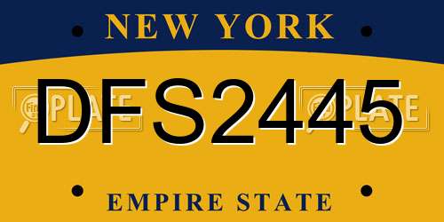 DFS2445 New York License Plate