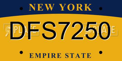 DFS7250 New York License Plate