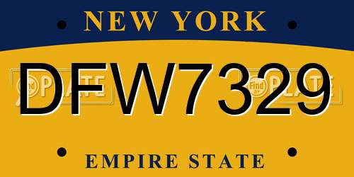 DFW7329 New York License Plate