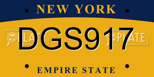 DGS917 New York License Plate