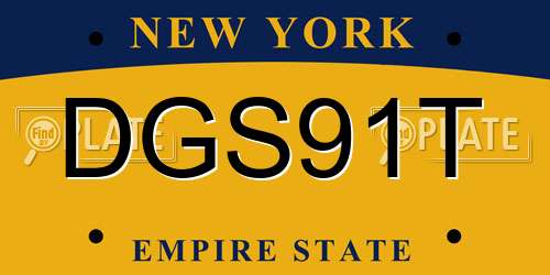 DGS91T New York License Plate