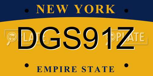 DGS91Z New York License Plate