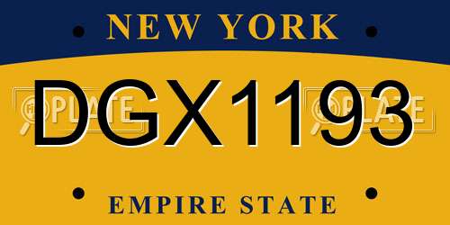 DGX1193 New York License Plate