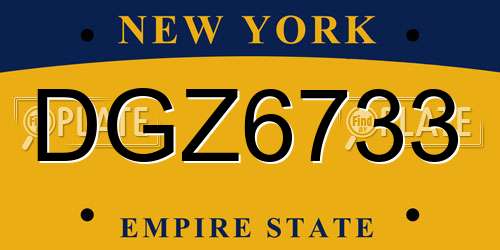 DGZ6733 New York License Plate