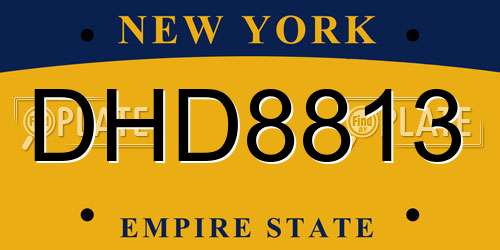 DHD8813 New York License Plate