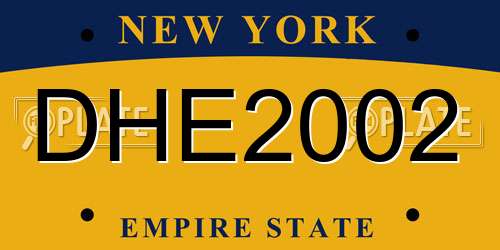 DHE2002 New York License Plate