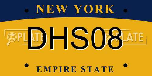 DHS08 New York License Plate