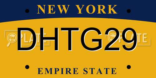 DHTG29 New York License Plate