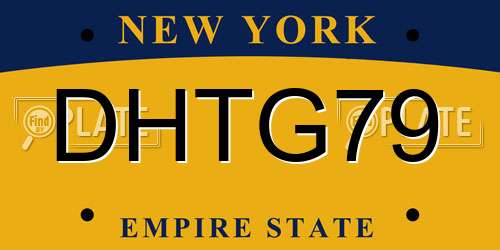 DHTG79 New York License Plate
