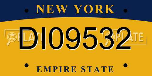 DI09532 New York License Plate