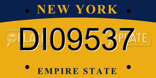 DI09537 New York License Plate
