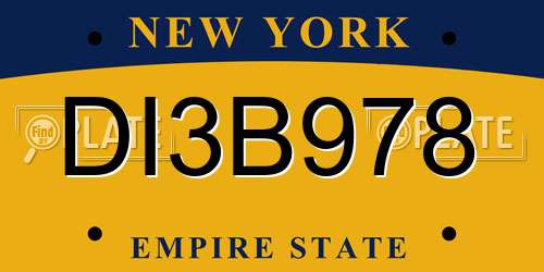 DI3B978 New York License Plate
