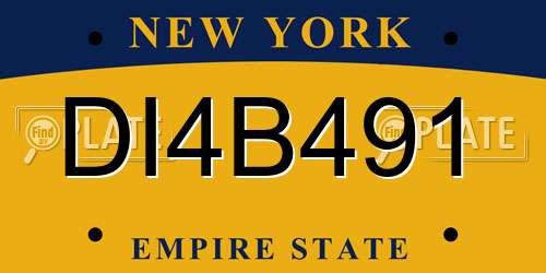 DI4B491 New York License Plate