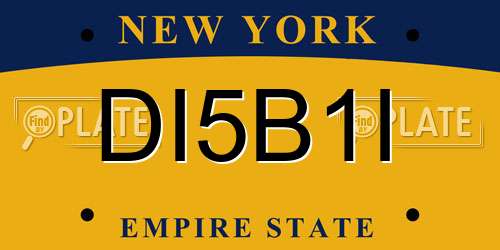 DI5B1I New York License Plate