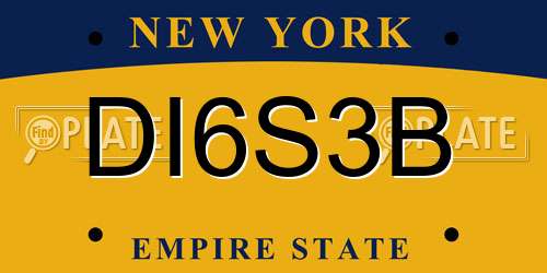 DI6S3B New York License Plate