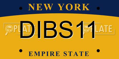 DIBS11 New York License Plate