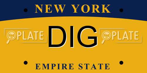 DIG New York License Plate