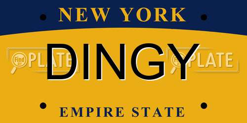 DINGY New York License Plate