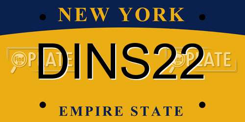 DINS22 New York License Plate